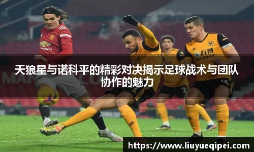 天狼星与诺科平的精彩对决揭示足球战术与团队协作的魅力