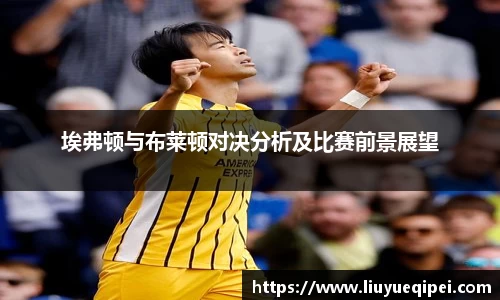 埃弗顿与布莱顿对决分析及比赛前景展望
