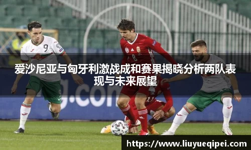爱沙尼亚与匈牙利激战成和赛果揭晓分析两队表现与未来展望