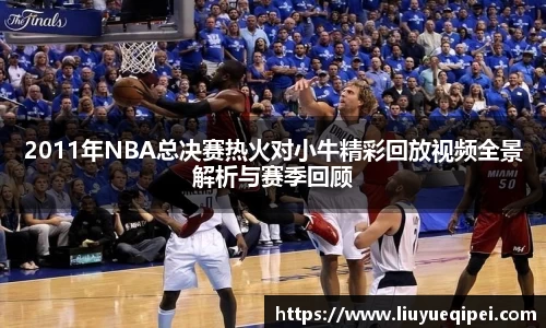 2011年NBA总决赛热火对小牛精彩回放视频全景解析与赛季回顾