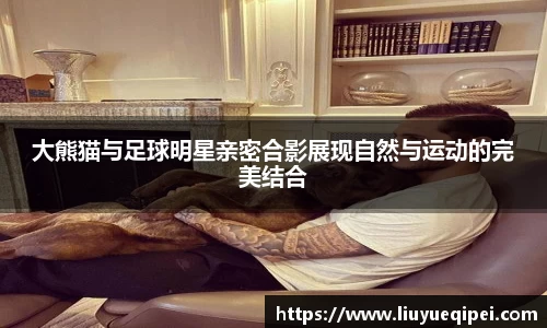 大熊猫与足球明星亲密合影展现自然与运动的完美结合